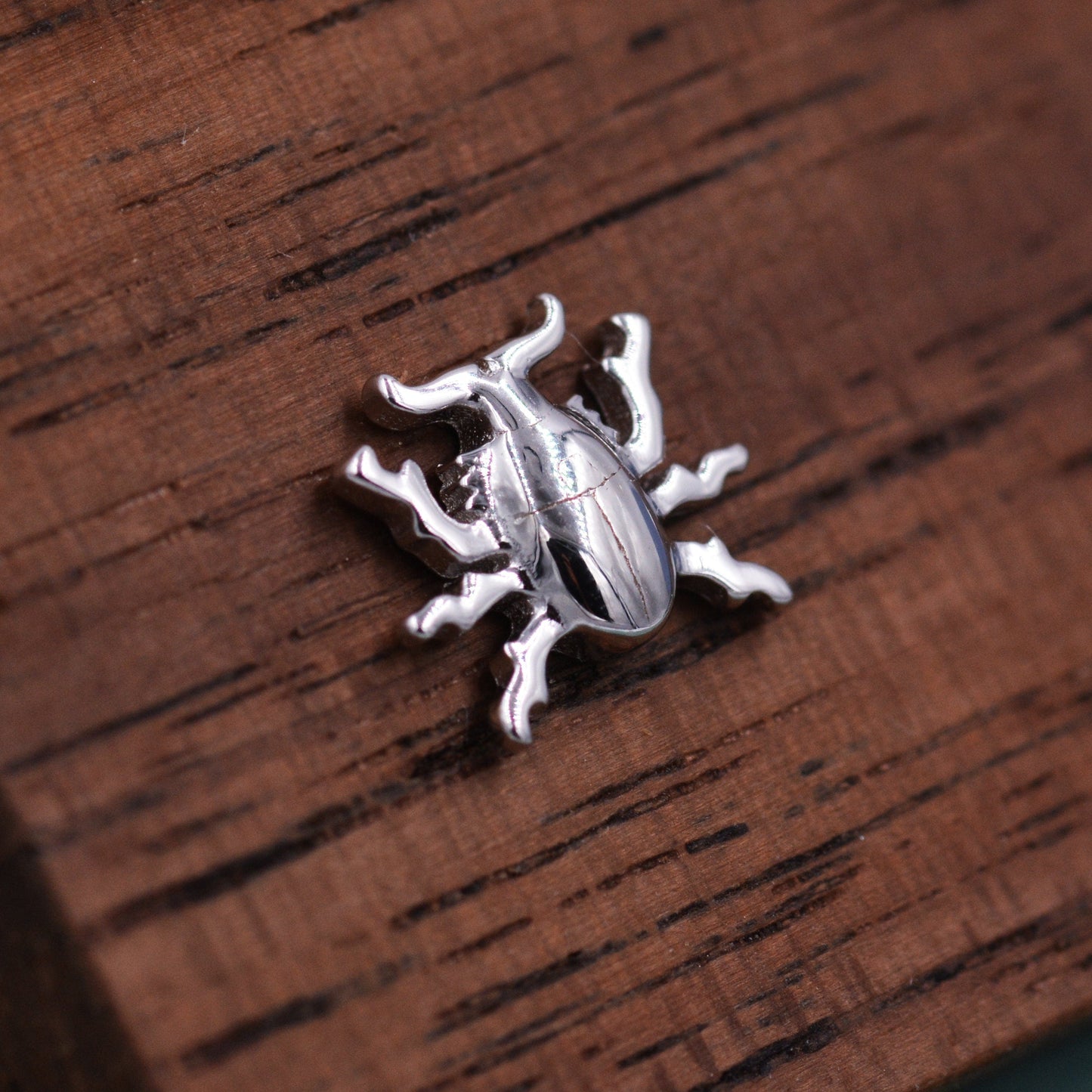 Stag Beetle Stud Earrings in Sterling Silver, Silver, Gold or Rose Gold, Cute Bug Stud, Cute and Quirky Stud Earrings